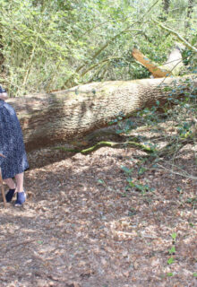You caught me exposing myself in the woods
